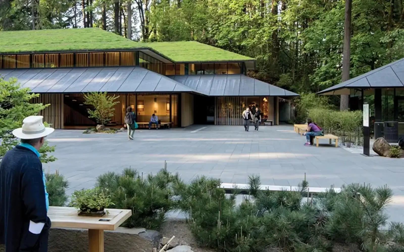 ASLA 2021 Professional General Design Award of Excellence. Cultural Crossing Transforms 