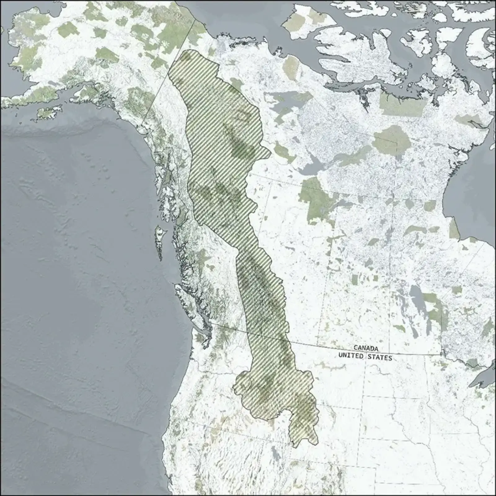 The Yellowstone to Yukon (Y2Y) Conservation Initiative. Drawing by Oliver Atwood. Courtesy Richard Weller