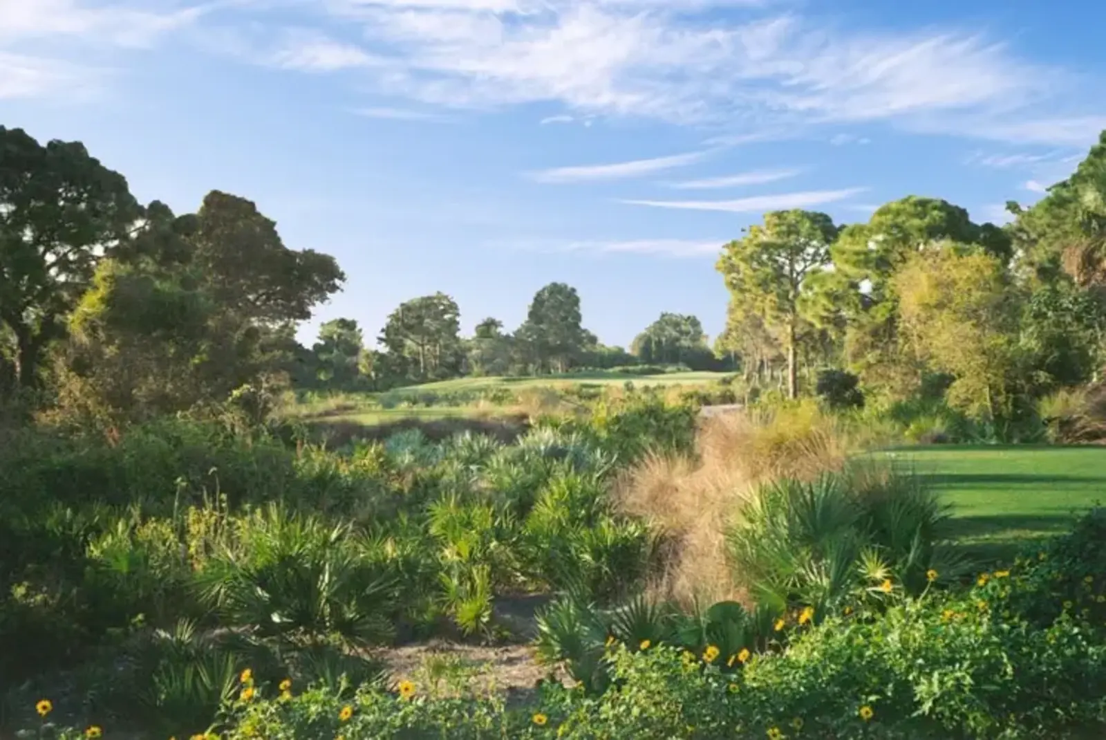 Collier's Reserve / EDSA