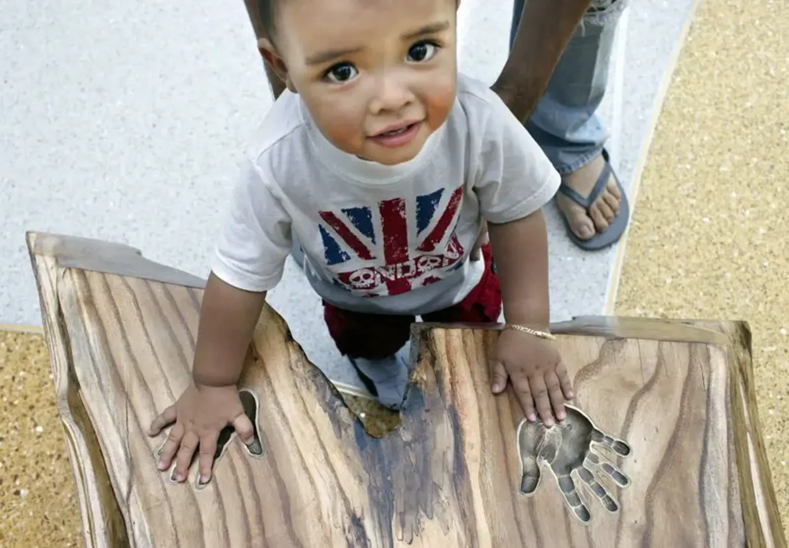 ASLA 2013 Professional General Design Honor Award. The Crown Sky Garden: Ann & Robert H. Lurie Children’s Hospital of Chicago. Mikyoung Kim Design / George Heinrich Photography