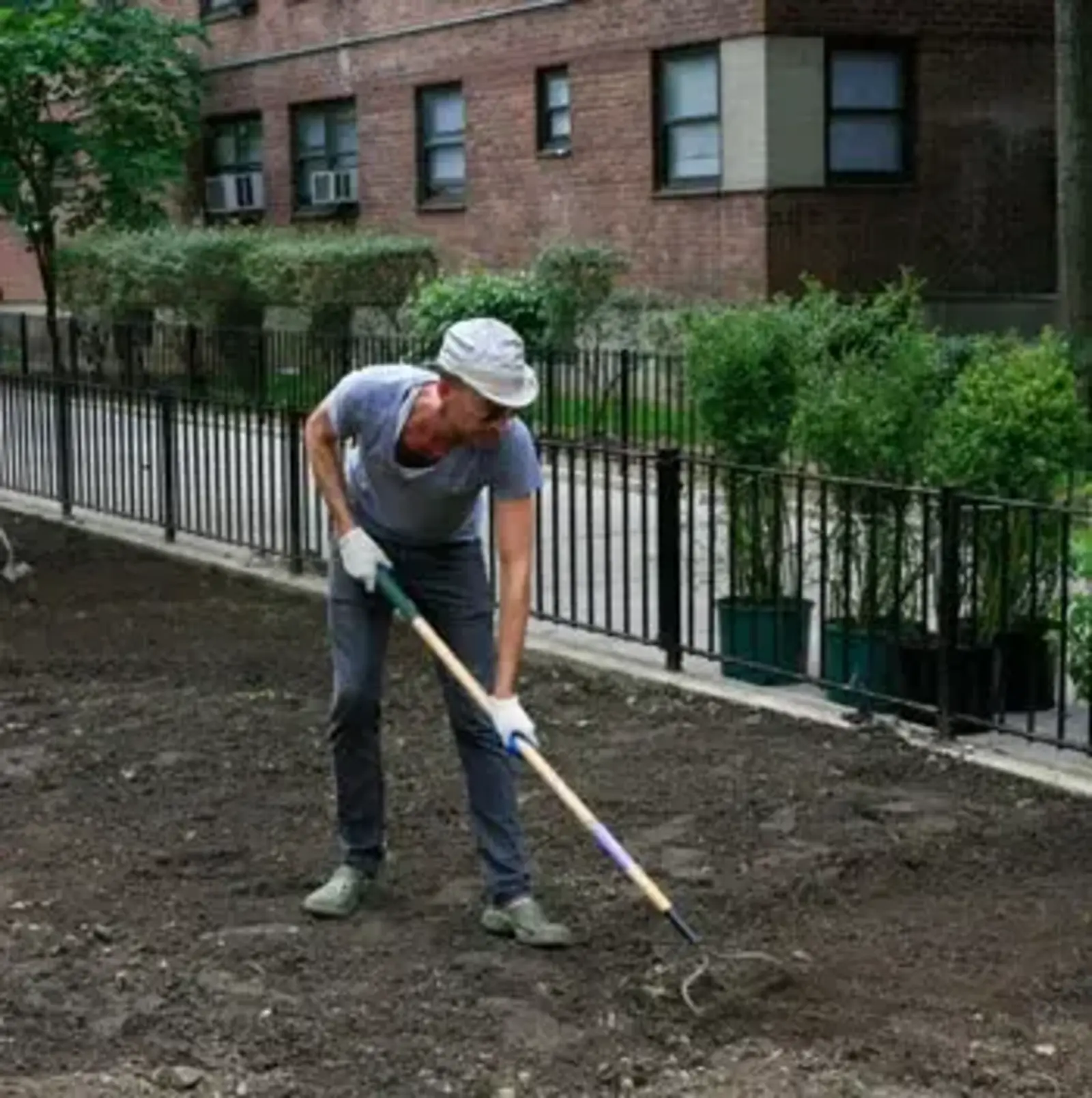 Image credit: Oto Gillen