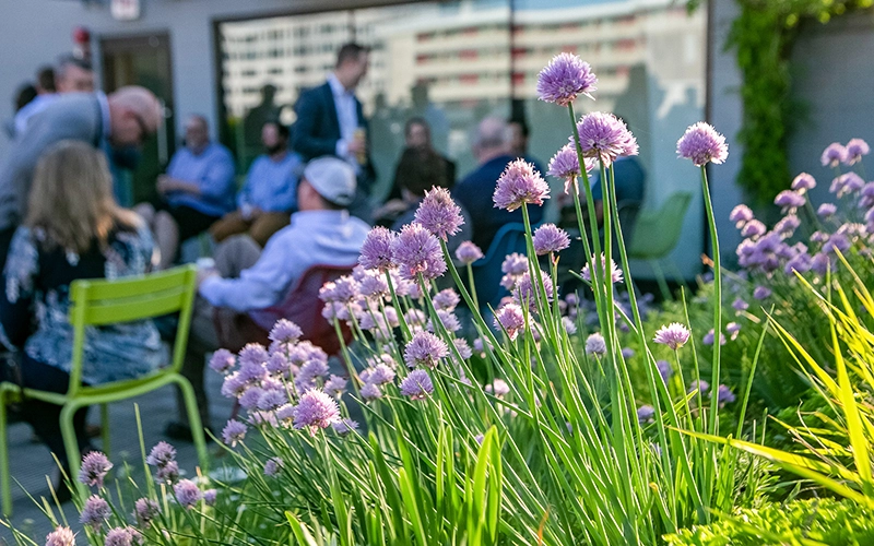 Image of the ASLA Center green roof