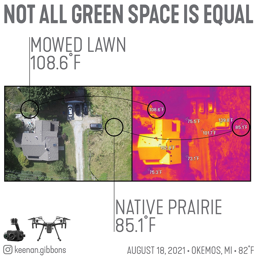 Image5 Image5