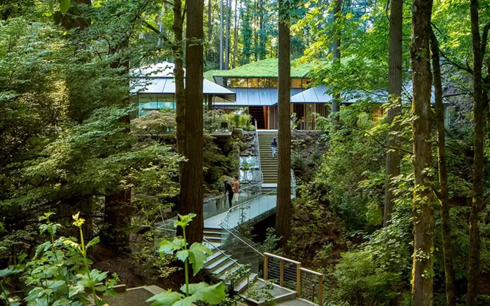 ASLA 2021 Professional General Design Award of Excellence. Cultural Crossing Transforms 