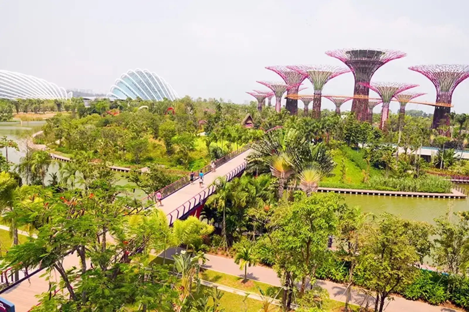 Gardens by the Bay, Singapore / istockphoto.com