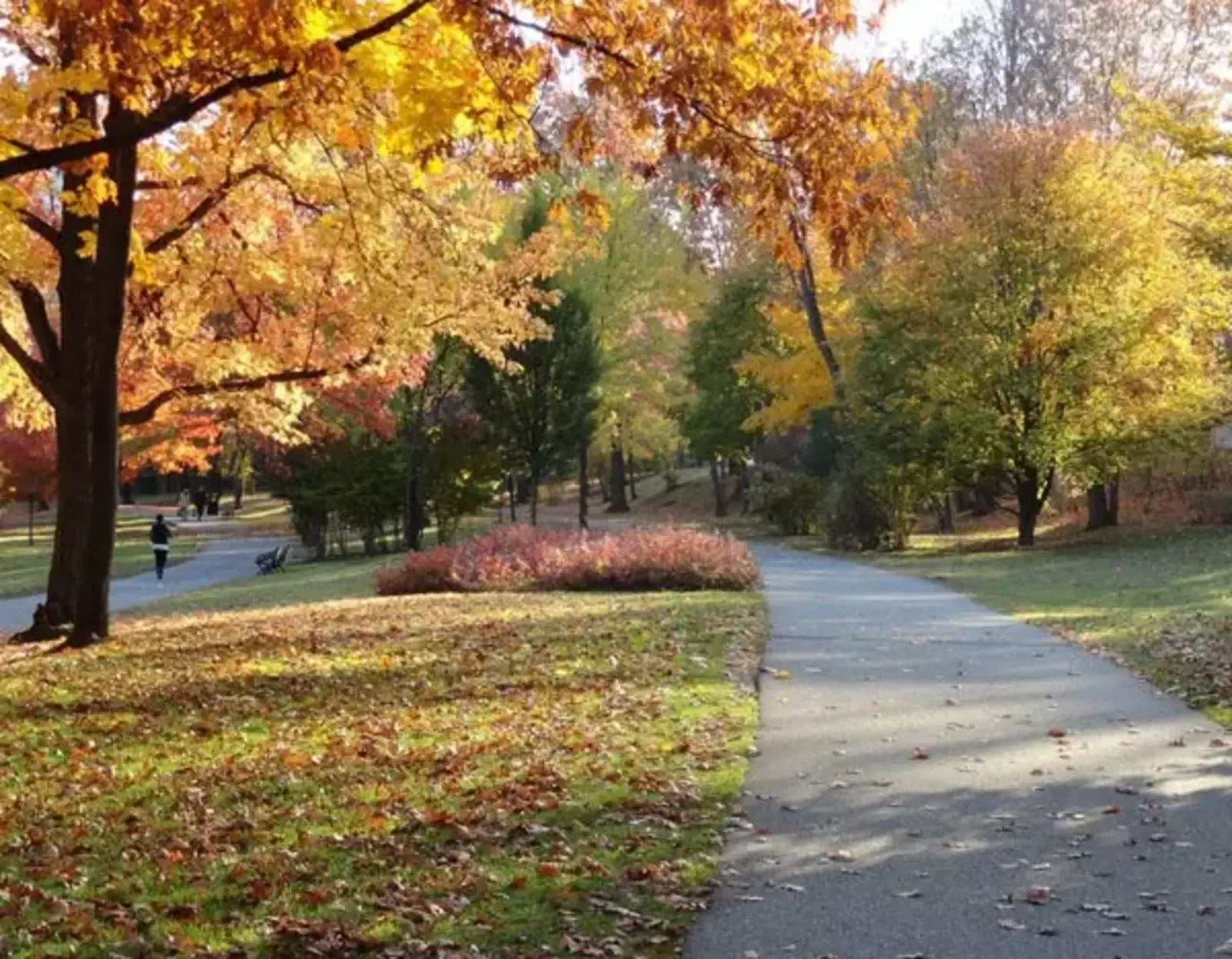 Olmsted Park restoration by Pressley Associates / image credit: Marion Pressley  