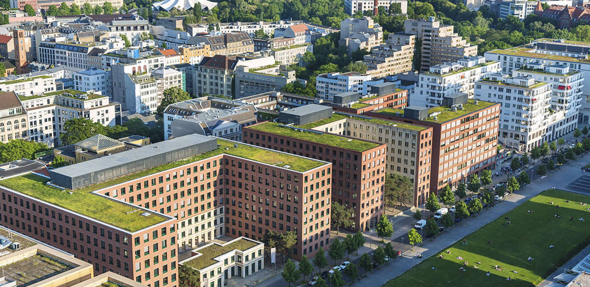 A green roof on a small building or house