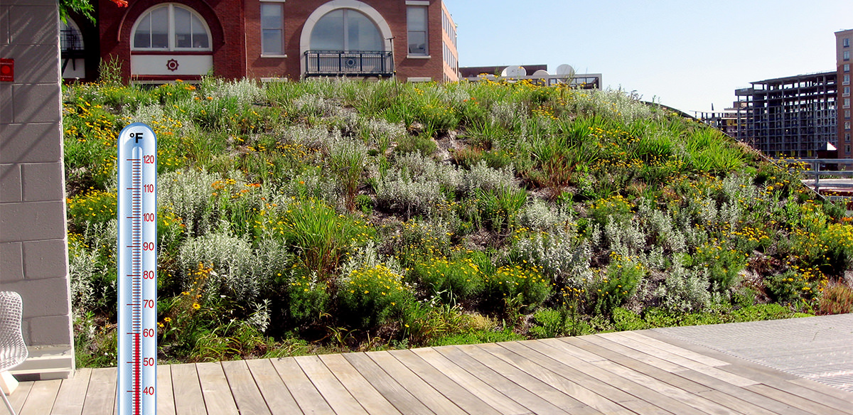 Illustration of a thermometer dropping in temperature superimposed on to a photo of the Green Roof from the perspective of a walkway