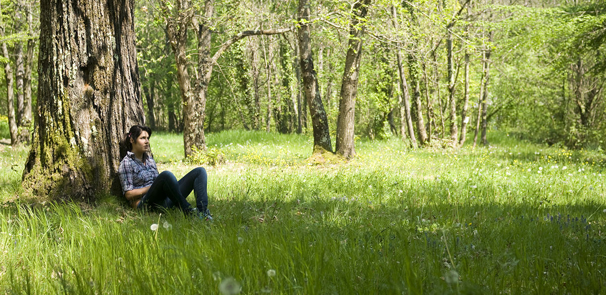 Young girl reading a book in the shade of a tree