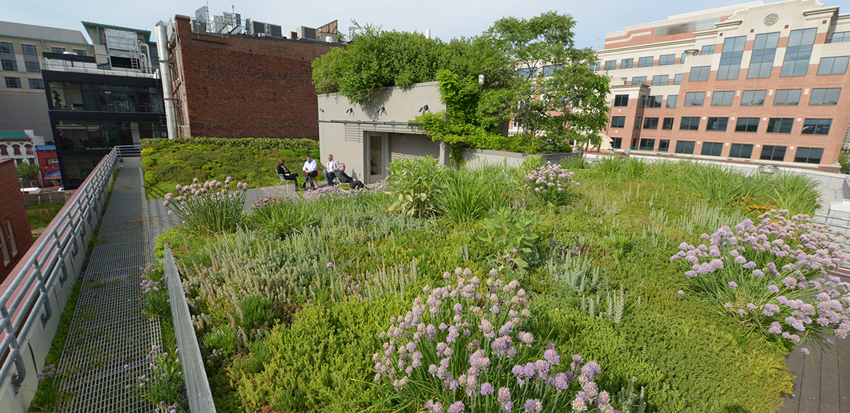 Birds eye view of people on green roof