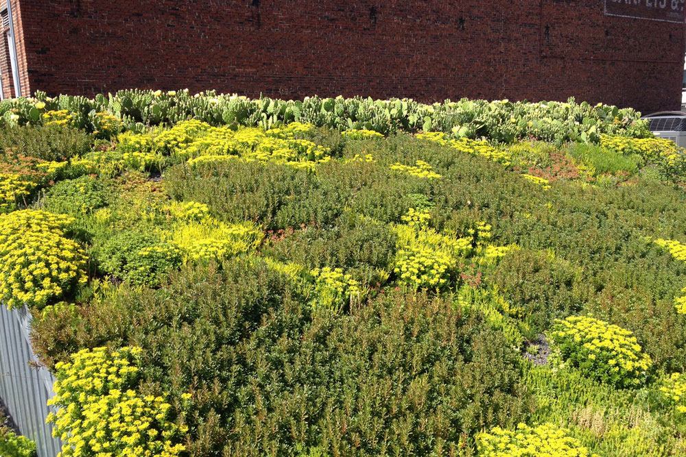 ASLA Green Roof photo