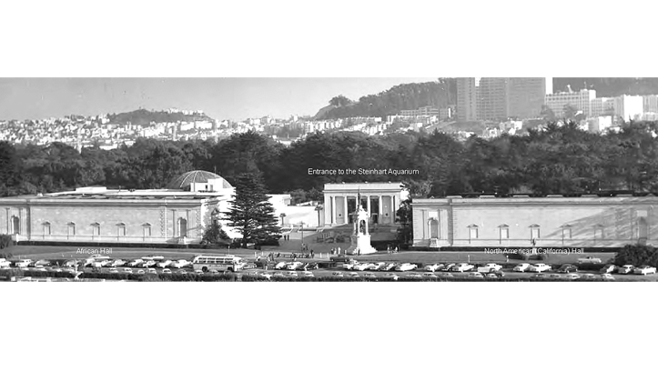 California Academy of Sciences 