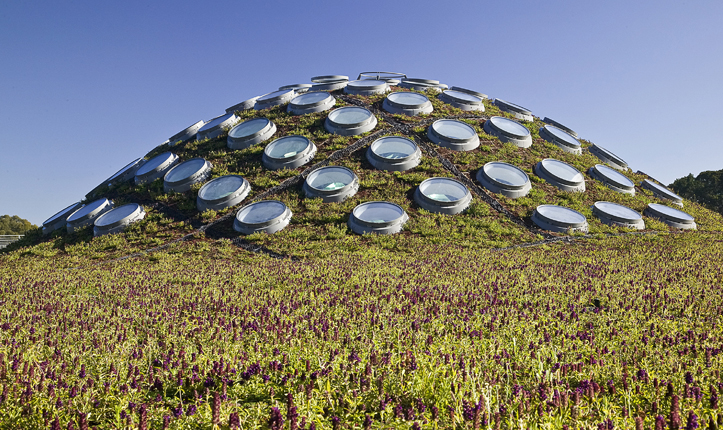 California Academy of Sciences 