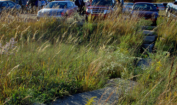 James Clarkson Environmental Discovery Center 