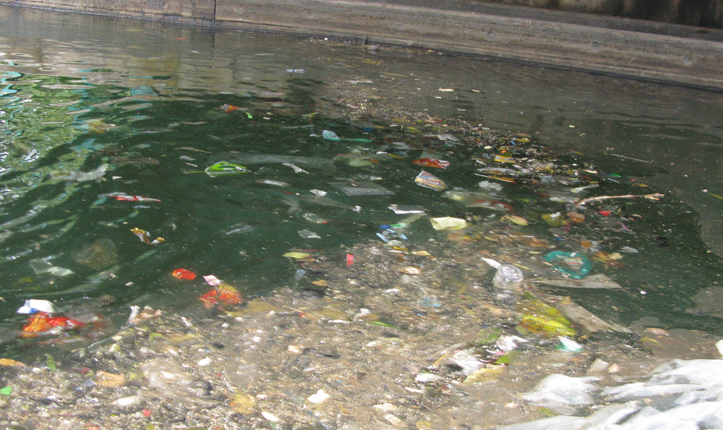 Gowanus Canal Sponge Park