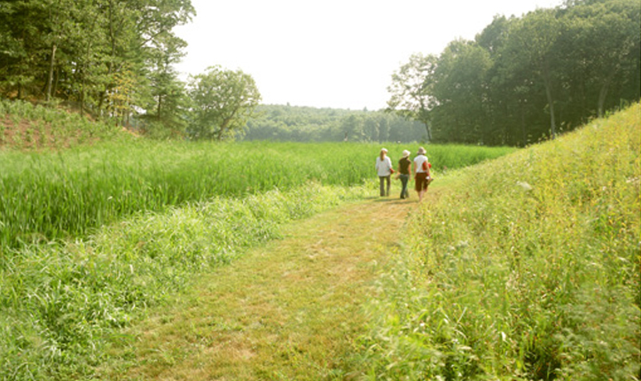 What is the difference between brownfield and greenfield?