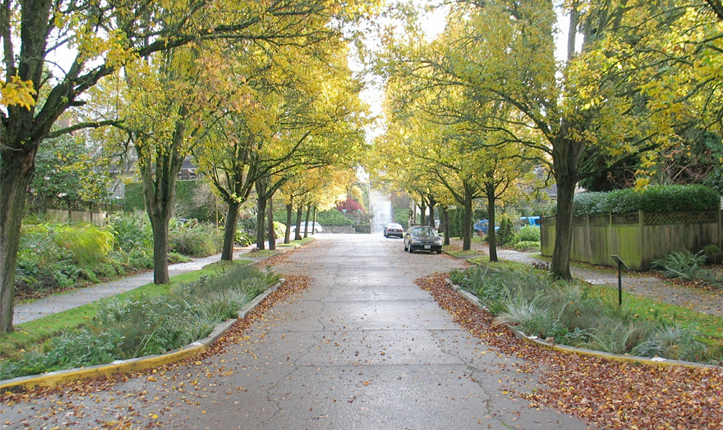 NE Siskiyou Green Street