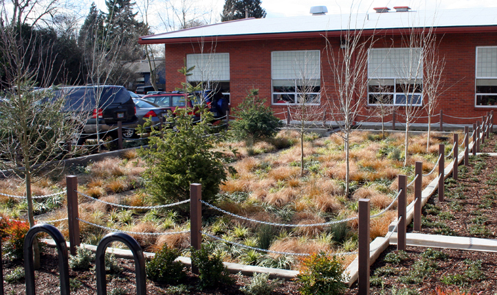 Mount Tabor Middle School Rain Garden