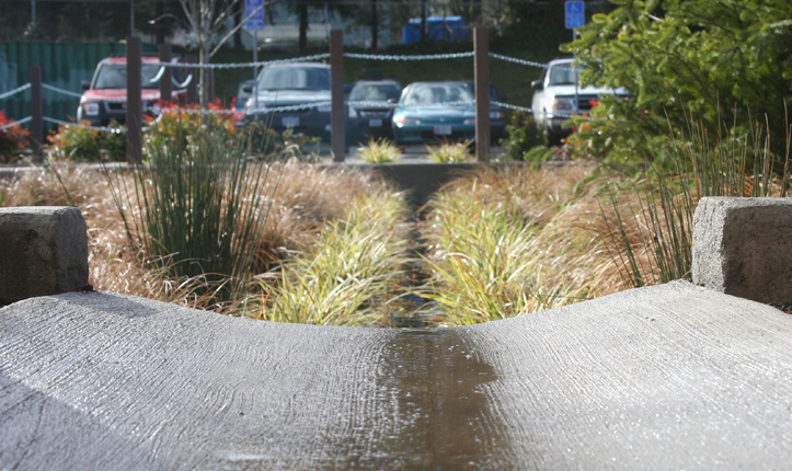 Mount Tabor Middle School Rain Garden