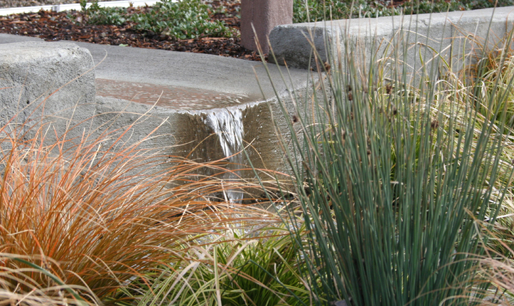 Mount Tabor Middle School Rain Garden