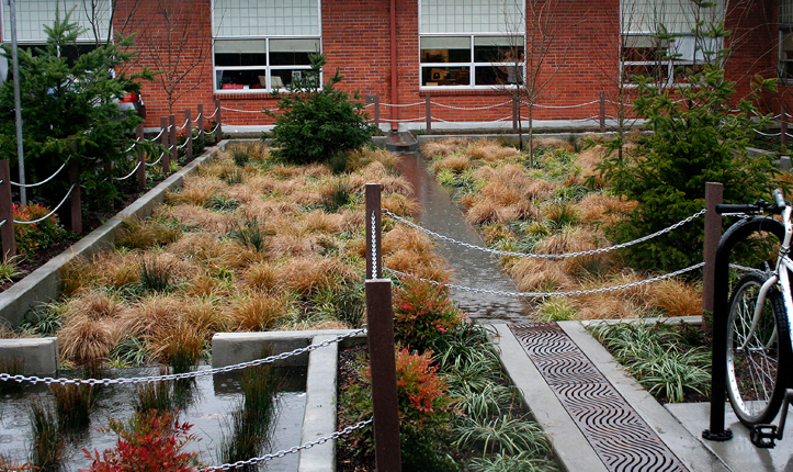 Mount Tabor Middle School Rain Garden