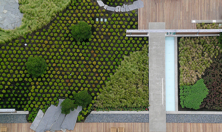 Washington Mutual Center Roof Garden
