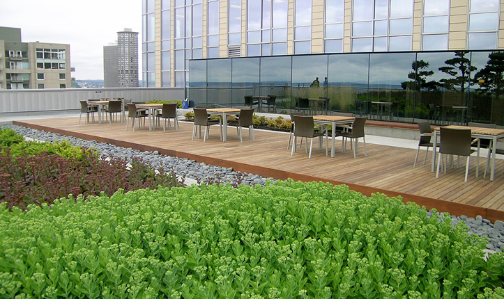 Washington Mutual Center Roof Garden