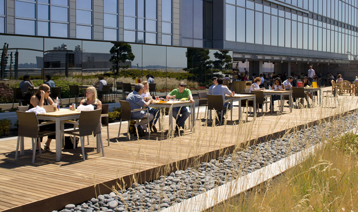 Washington Mutual Center Roof Garden