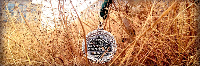 Council of Fellows Header Council of Fellows Header