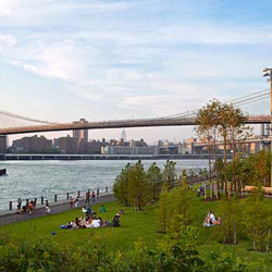 Brooklyn-Bridge-Park-Adult-General-Health.jpg Brooklyn-Bridge-Park-Adult-General-Health.jpg