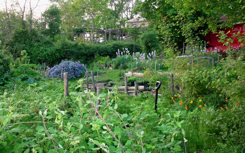 Applying Ecological Design Gardens And Permaculture