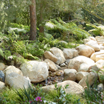 Maximizing the Benefits of Plants Maximizing the Benefits of Plants