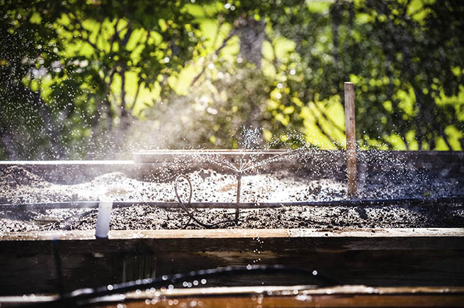 Drip Irrigation Drip Irrigation