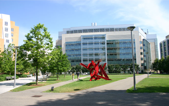 North 1