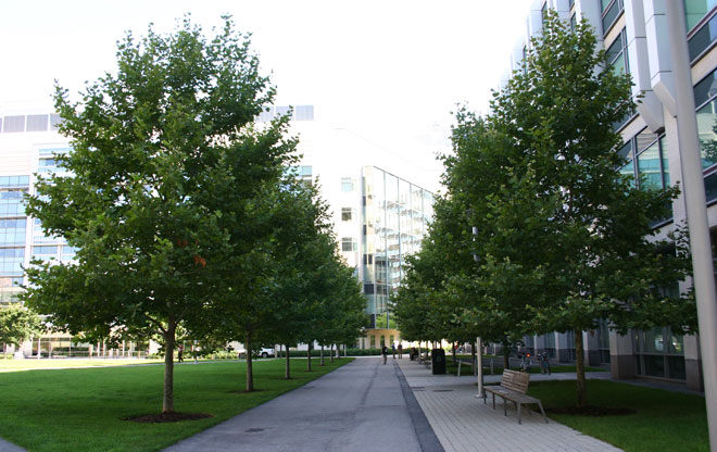 North 2