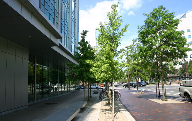 North 7