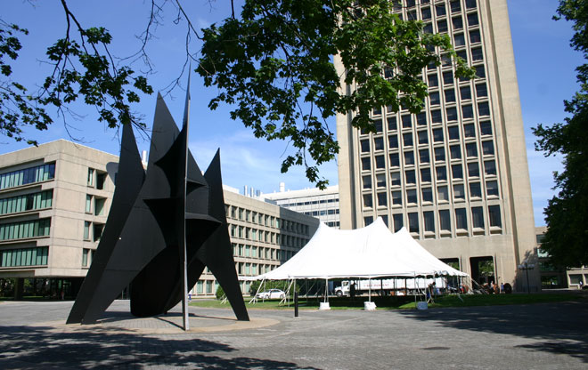 Art 6
