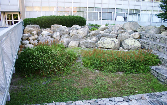 stata 7
