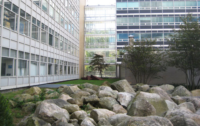 Stata 8