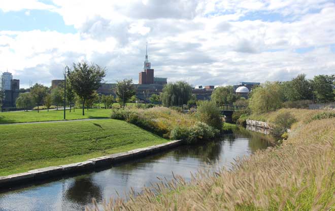 north7
