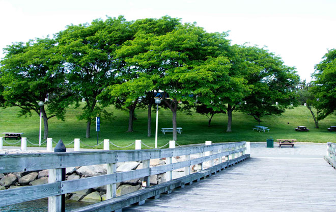 JFK 9