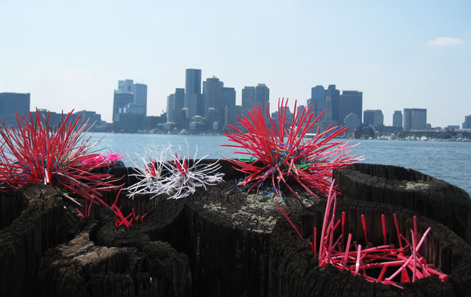 harbor6