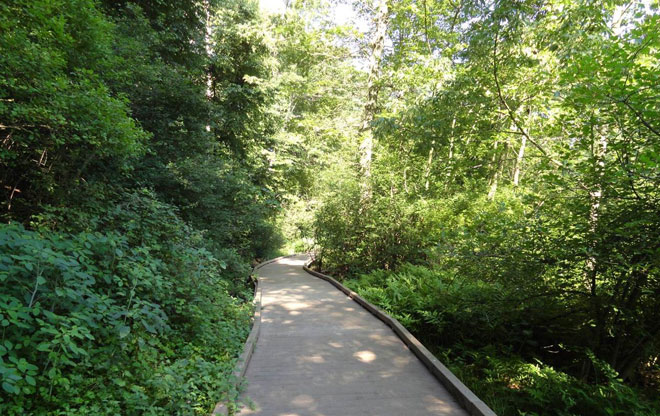 olmsted4