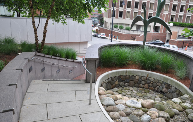 garden9