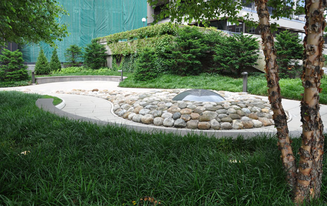 garden3