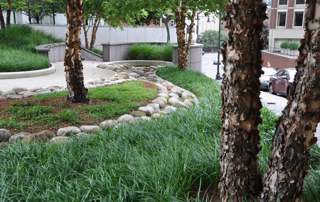 garden7