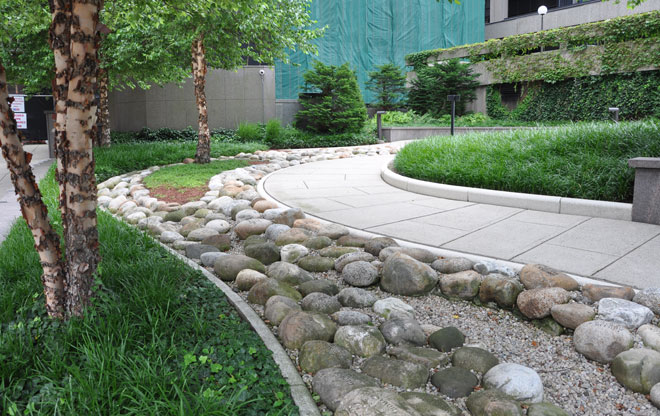 garden8