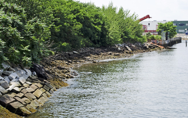 Remnant Shoreline