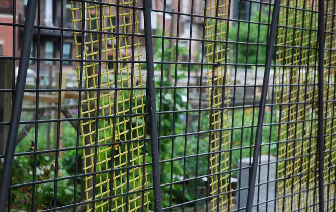 Garden Fence