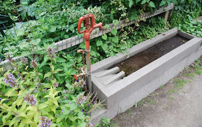 Water Basin Detail